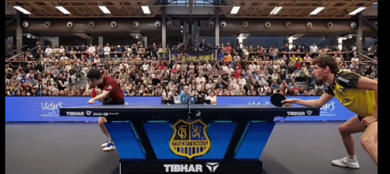 包含清晨德国杯传出新动向，山东泰山止住颓势，管理层表态：话题不断，细节决定成败的词条